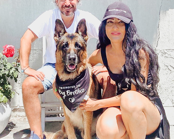 Pregnancy Announcement Dog Bandana - Baby Reveal with Dog - Big Brother