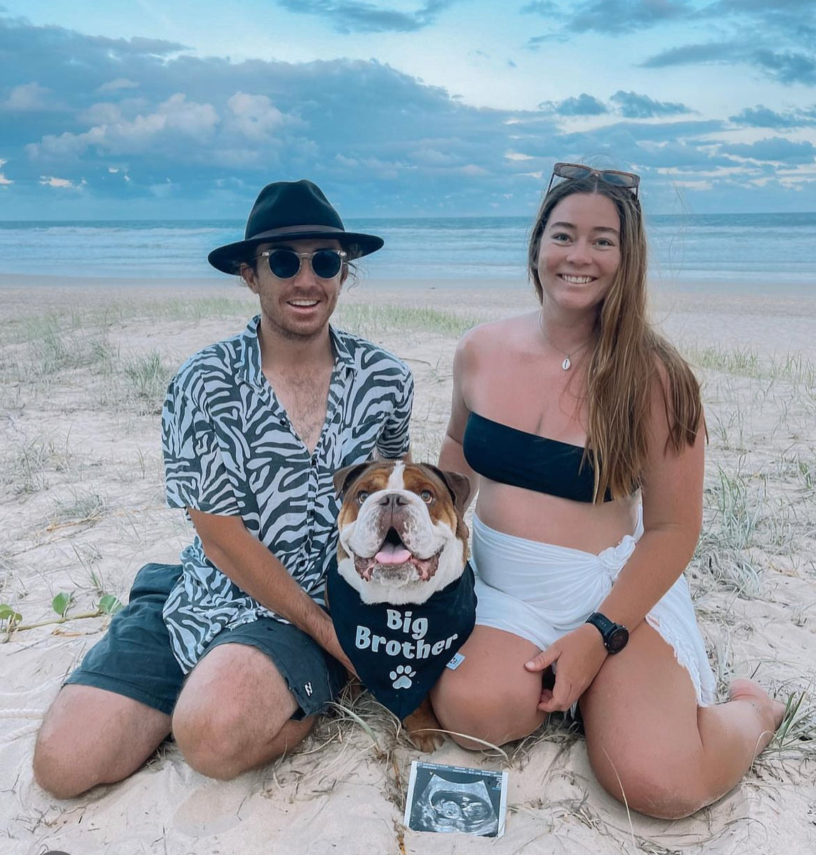 Dog Bandana - "Big Brother" - Pregnancy Announcement - Baby Shower gift