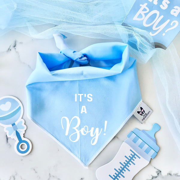Gender Reveal Dog Bandana - It's a Boy
