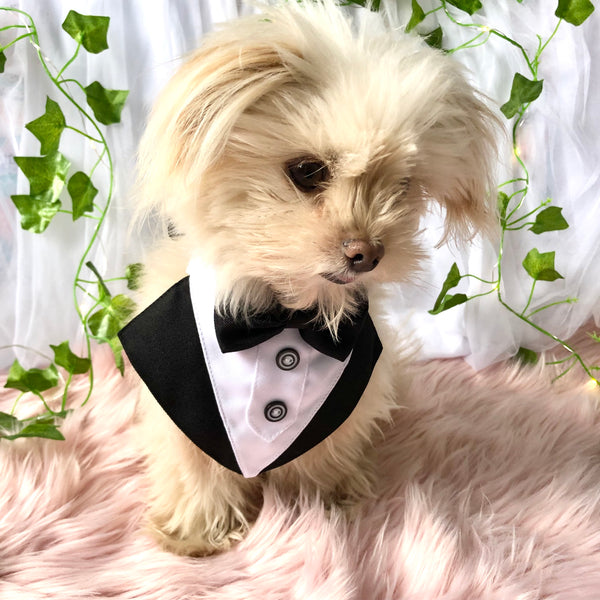 Dog Tuxedo Bandana - Wedding, Formal Event & Special Occasion
