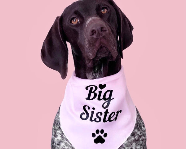 Dog Bandana - "Big Sister" - Pregnancy Announcement - Baby Shower gift