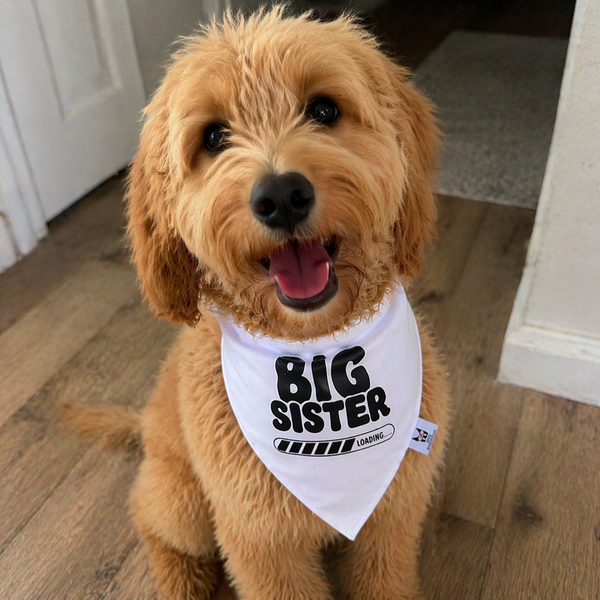 Big Sister Loading Dog Bandana – Baby Reveal