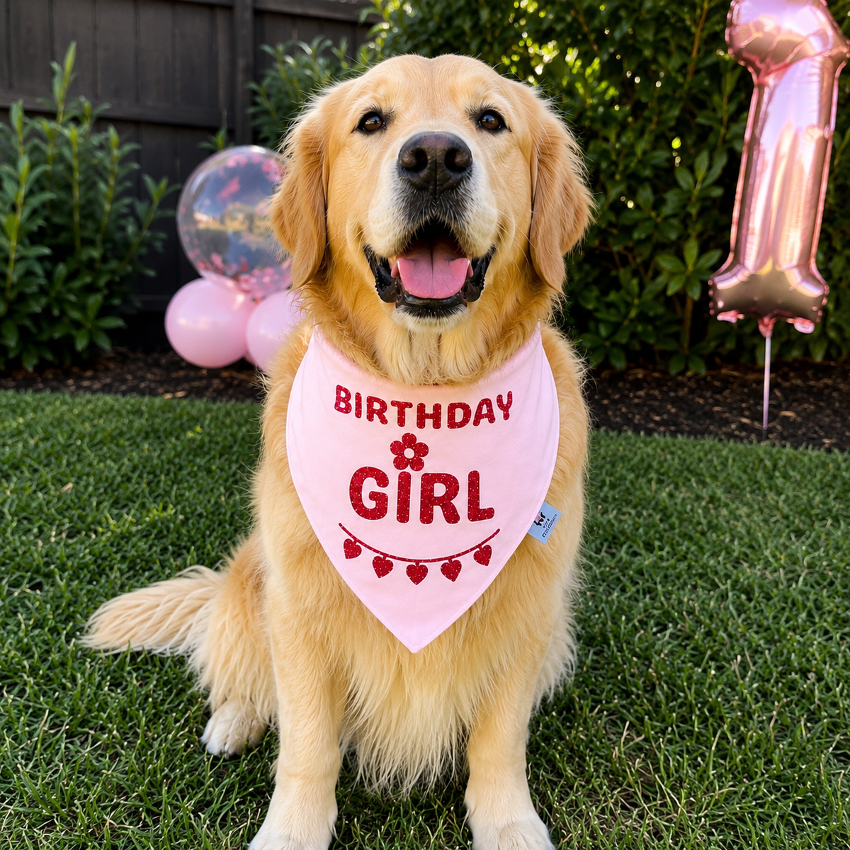 Birthday Girl Dog Bandana, Red Glitter Birthday Bandana for Dogs