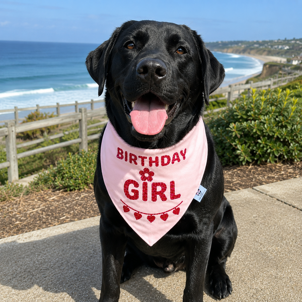 Birthday Girl Dog Bandana, Red Glitter Birthday Bandana for Dogs
