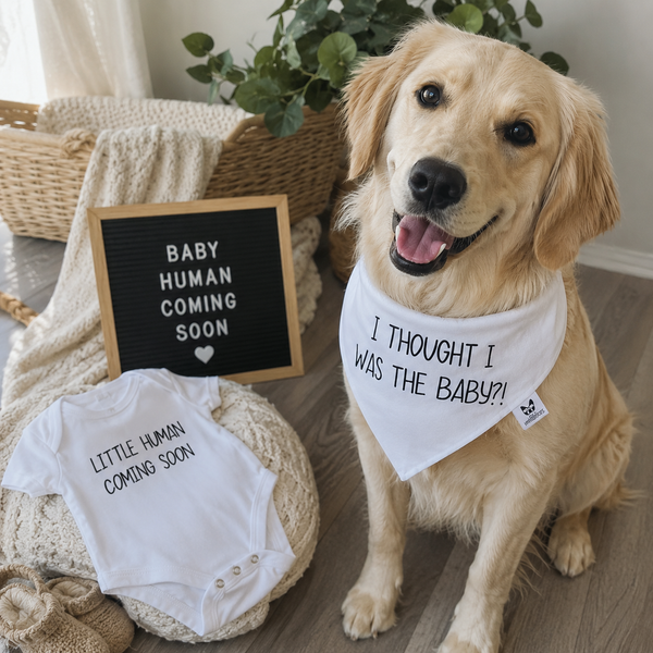 Matching Baby Onesie & Dog Bandana Set – Little Human Coming Soon