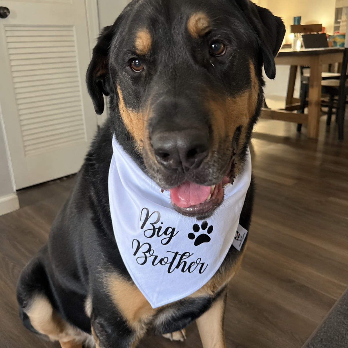 Big Brother Paw Print Dog Bandana – Baby Announcement