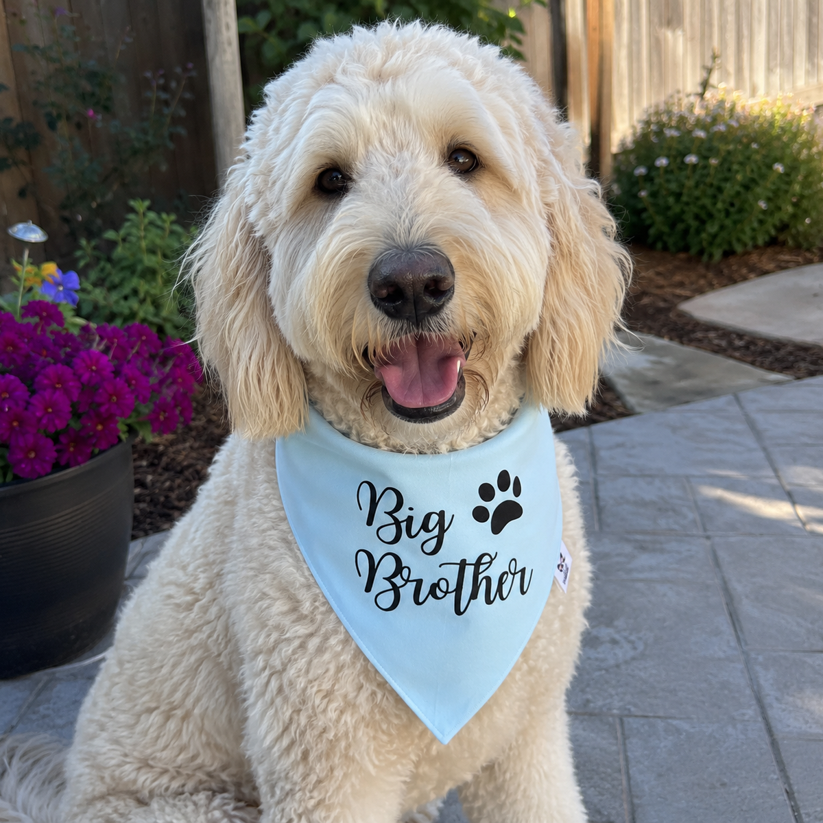 Big Brother Paw Print Dog Bandana – Baby Announcement