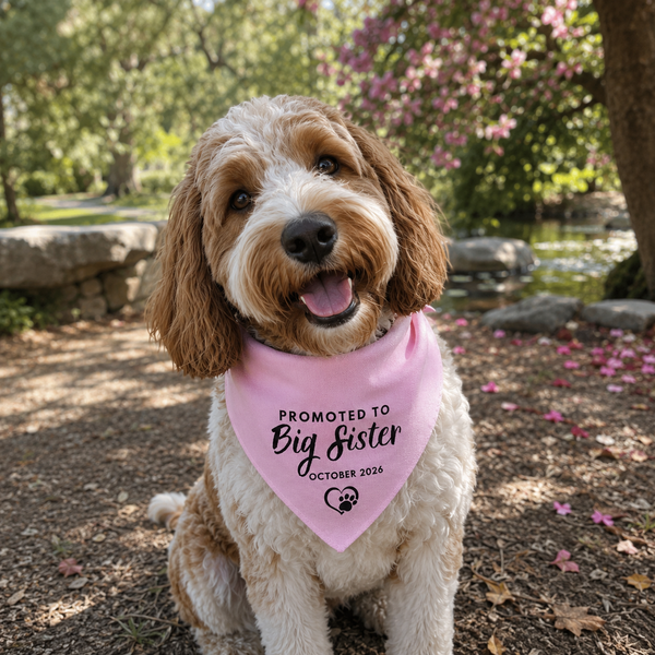 Custom Due Date Big Sister Dog Bandana