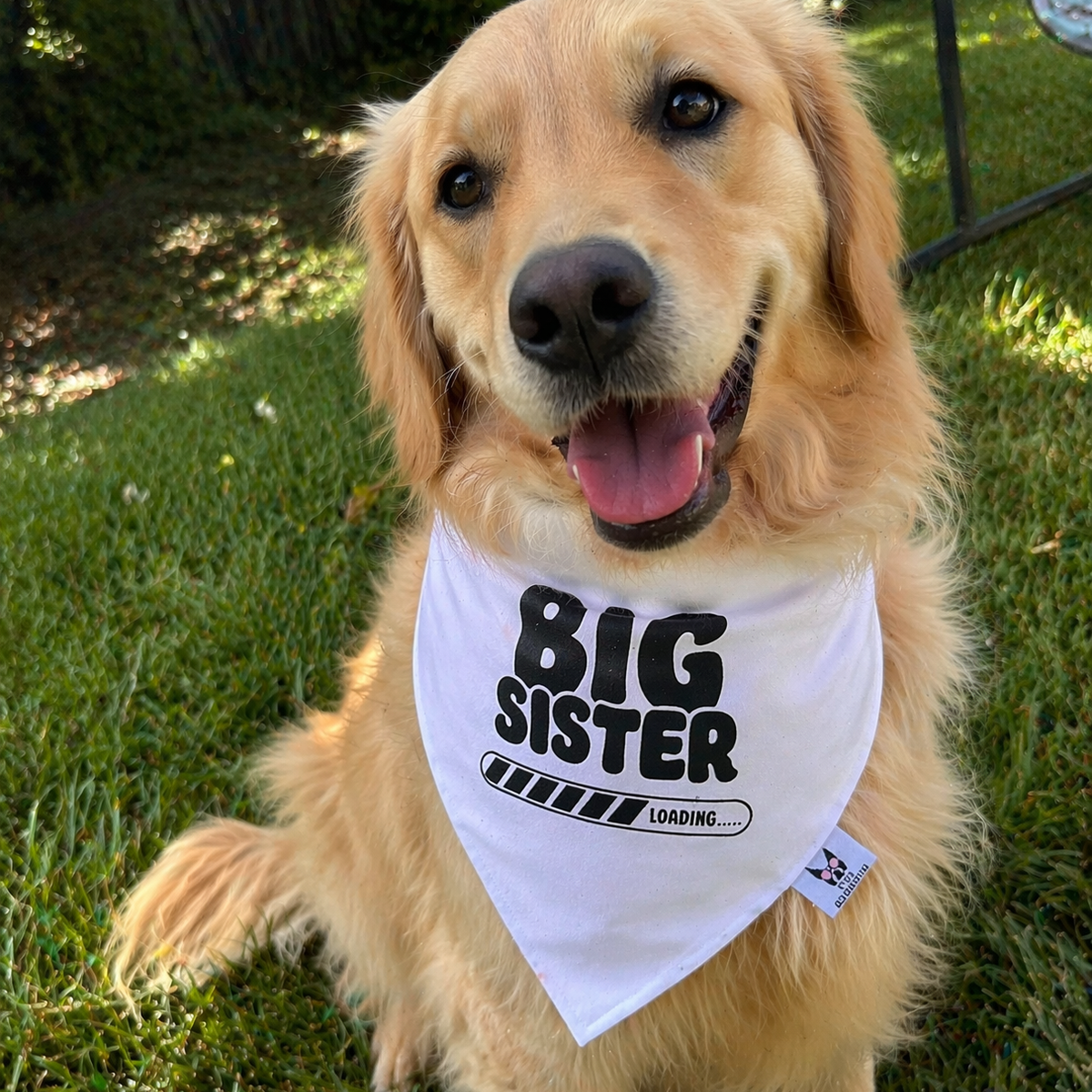 Big Sister Loading Dog Bandana – Baby Reveal