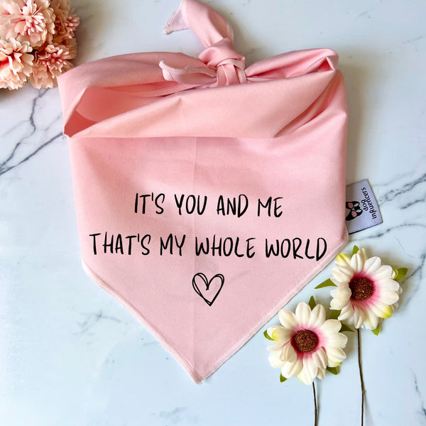 Taylor Swift Dog Bandana - "It's you and me that's my whole world" - Inspired by the song "Miss Americana & the Heartbreak Prince"
