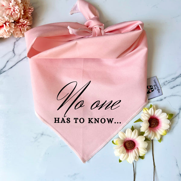 Taylor Swift Dog Bandana - "No one has to know" - Inspired by the song "Ready for it?" - Cute Pet bandana to a Tay Tay Dog Mum fan