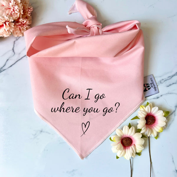 Taylor Swift Dog Bandana - "Can I go where you go?" - Inspired by the song Lover