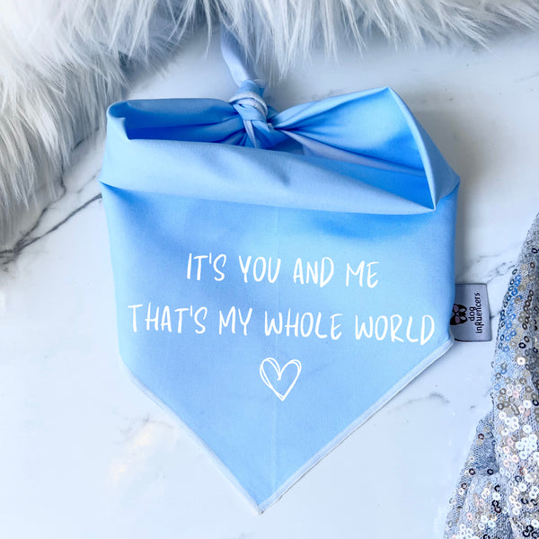 Taylor Swift Dog Bandana - "It's you and me that's my whole world" - Inspired by the song "Miss Americana & the Heartbreak Prince"