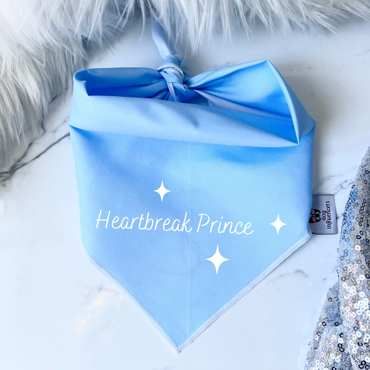 Taylor Swift Dog Bandana - Heartbreak Prince - Inpired by the song "Miss Americana & the Heartbreak Prince"