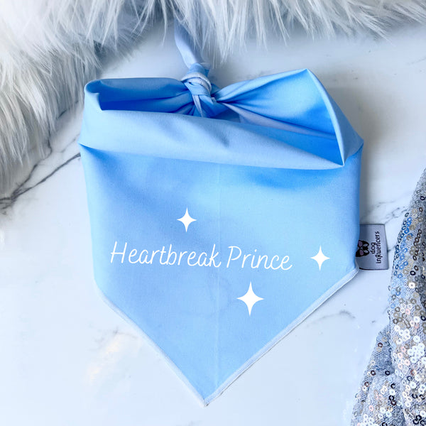 Taylor Swift Dog Bandana - Heartbreak Prince - Inpired by the song "Miss Americana & the Heartbreak Prince"