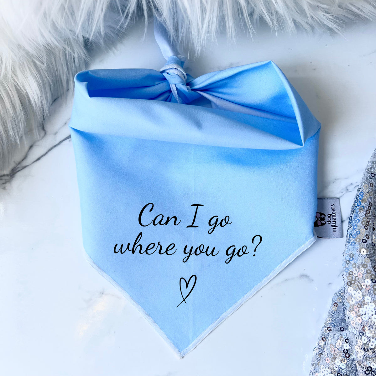 Taylor Swift Dog Bandana - "Can I go where you go?" - Inspired by the song Lover