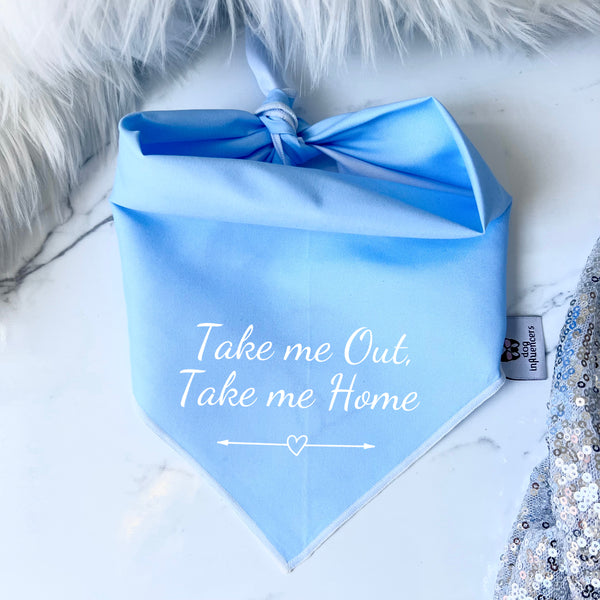 Taylor Swift Dog Bandana - "Take me out, take me home" - Inspired by the song Lover - Gift for a Dog mum Tay tay Fan