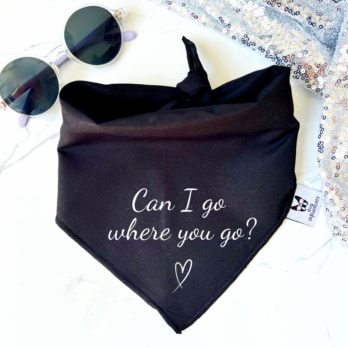 Taylor Swift Dog Bandana - "Can I go where you go?" - Inspired by the song Lover