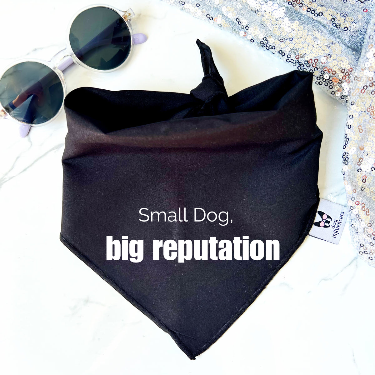 Taylor Swift Dog Bandana - "Small dog, big reputation" - Gift for a Fan Dog Mum