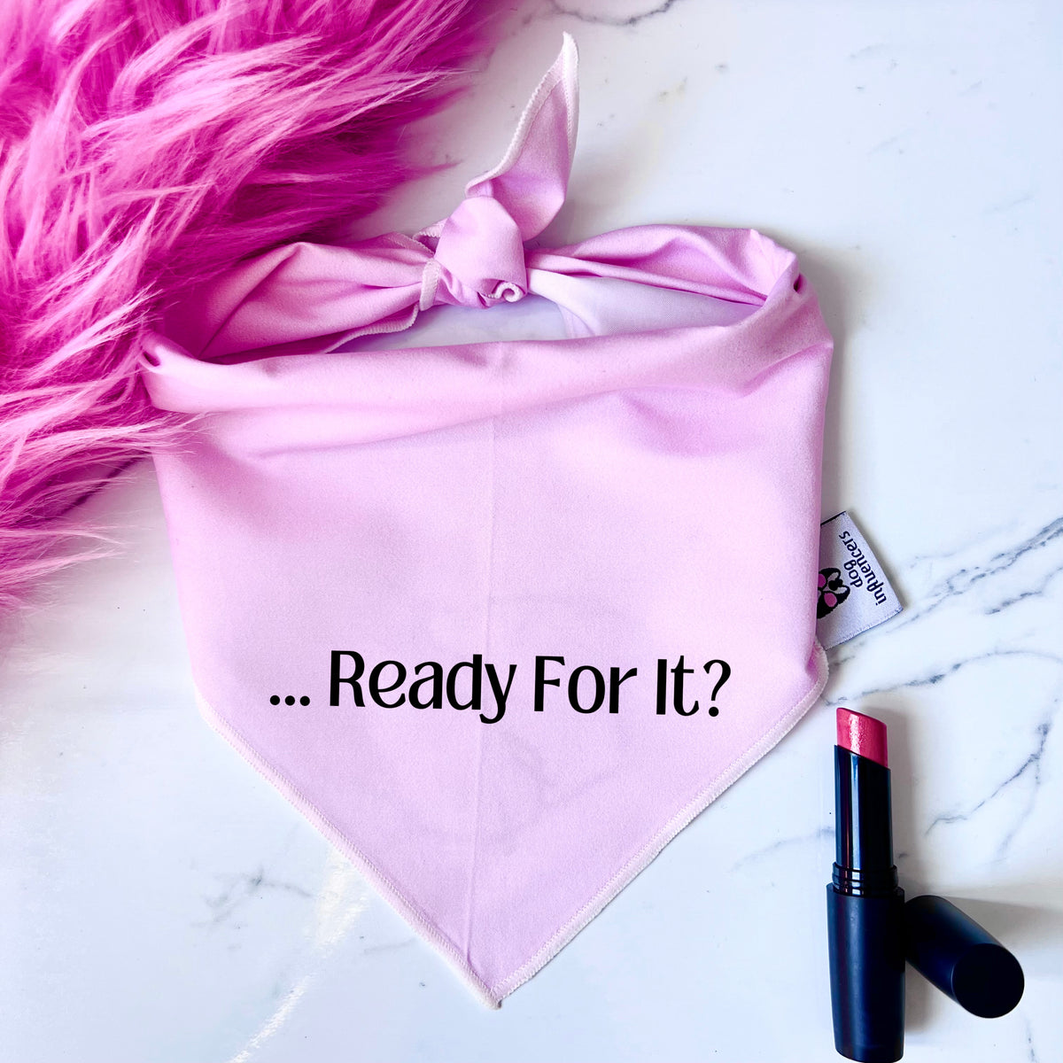 Taylor Swift Dog Bandana - "... Ready for it?" - Gift for a Fan Dog Mum