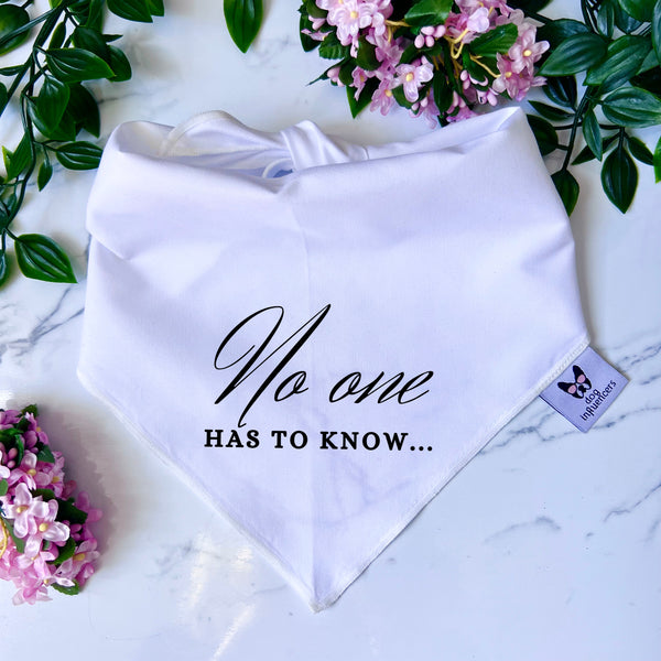 Taylor Swift Dog Bandana - "No one has to know" - Inspired by the song "Ready for it?" - Cute Pet bandana to a Tay Tay Dog Mum fan