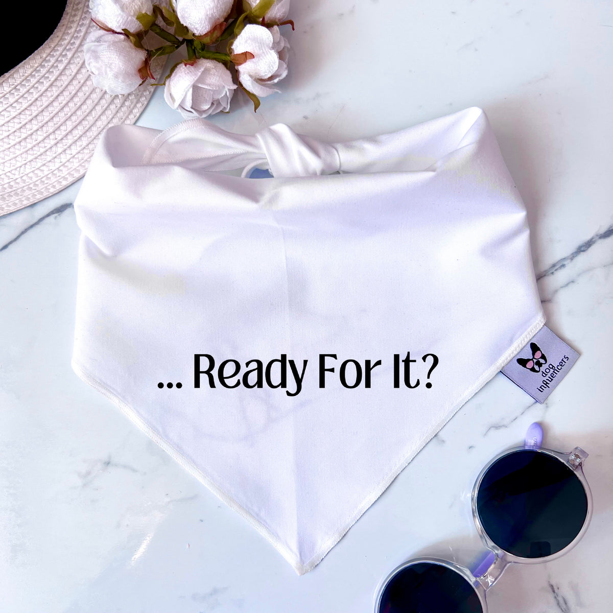 Taylor Swift Dog Bandana - "... Ready for it?" - Gift for a Fan Dog Mum