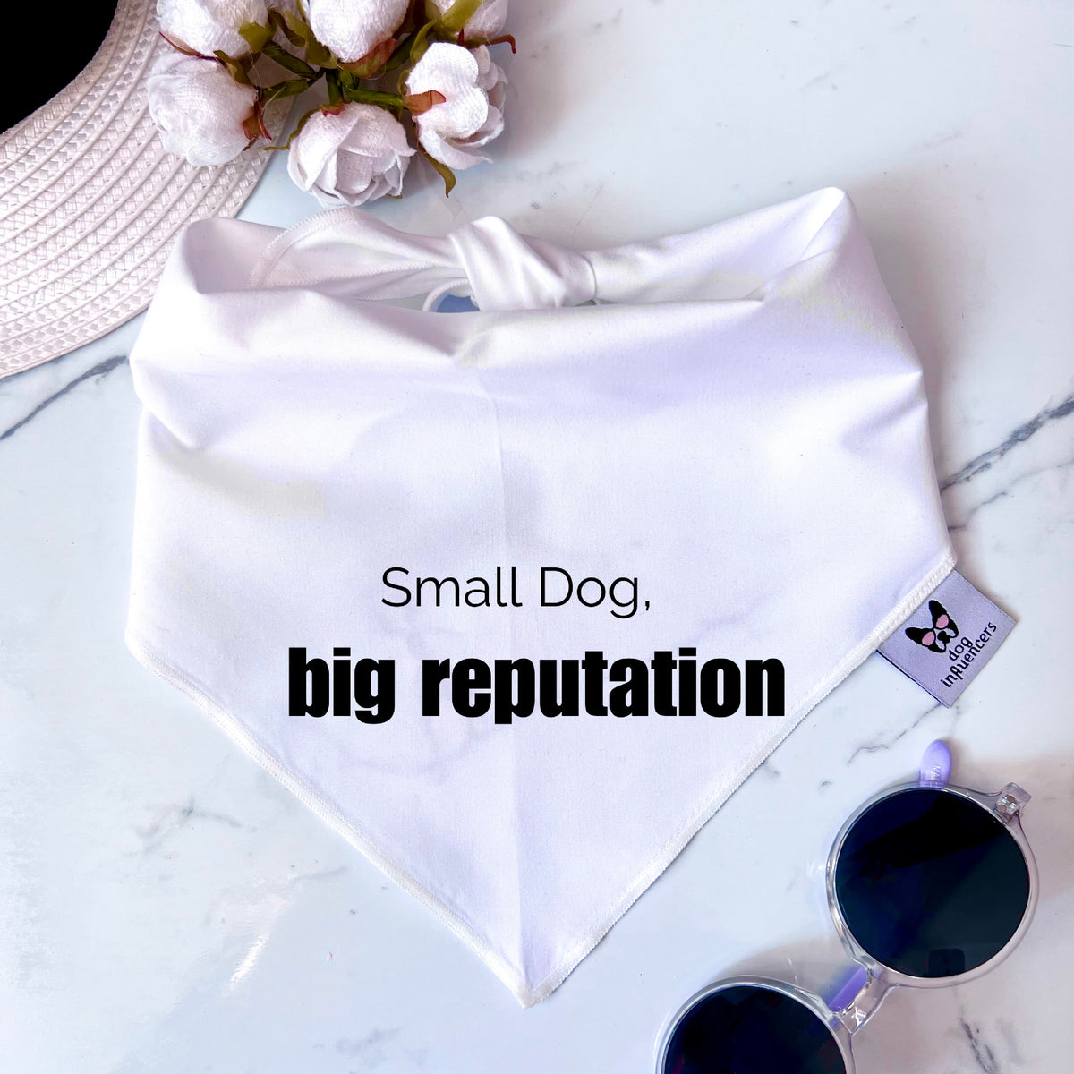 Taylor Swift Dog Bandana - "Small dog, big reputation" - Gift for a Fan Dog Mum