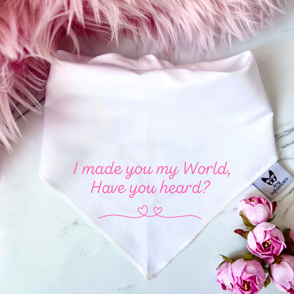 Taylor Swift Dog Bandana - "I made you my world have you heard?" - Inspired by the song "Bejeweled" - Gift for a fan Dog Mum