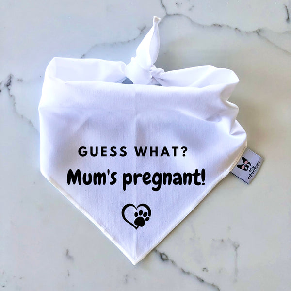“Guess What? Mum’s Pregnant!” Dog Bandana