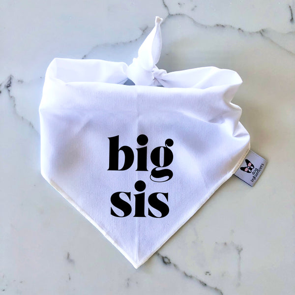 Dog Bandana - " Big Sis" - Pregnancy Announcement - Baby Reveal