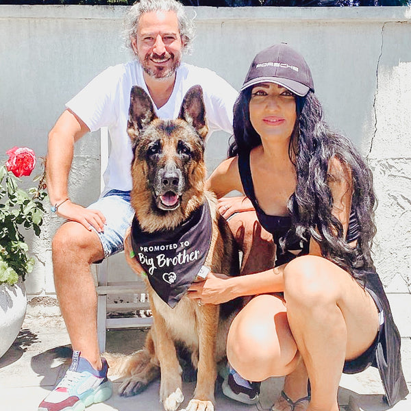 Pregnancy Announcement Dog Bandana - Baby Reveal with Dog - Big Brother
