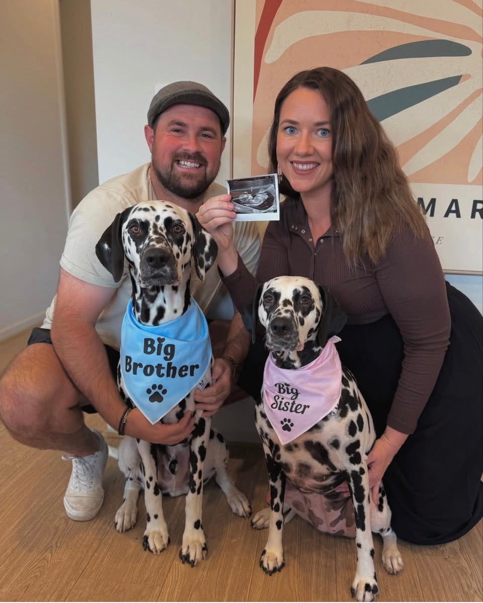 Big Sister Dog Bandana – Family Announcement