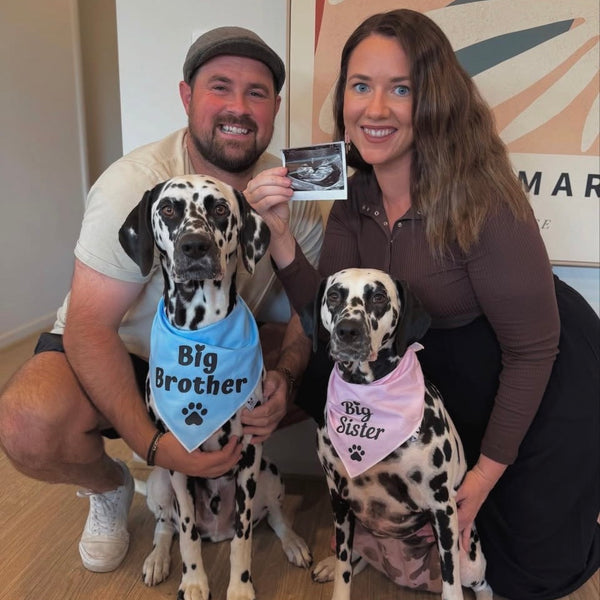 Big Brother Dog Bandana – Baby Announcement