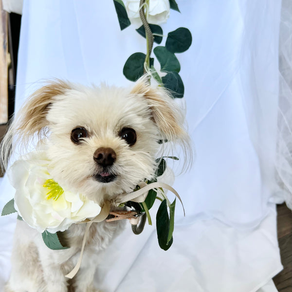 Wedding Floral Dog Leash - Dog Flower Collar and Lead -  Boho Dog Wedding Accessory