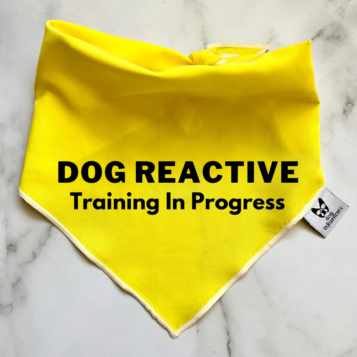 Warning Dog Bandana, Dog Reactive Training in Progress