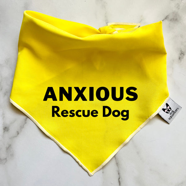 Warning Dog Bandana, Anxious Rescue Dog