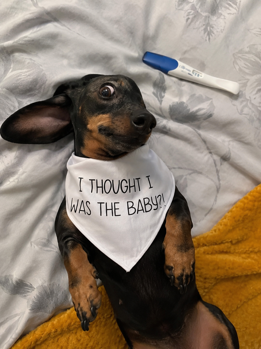 I thought I was the baby Bandana – Family Baby Reveal
