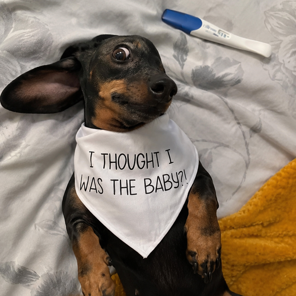 I thought I was the baby Bandana – Family Baby Reveal