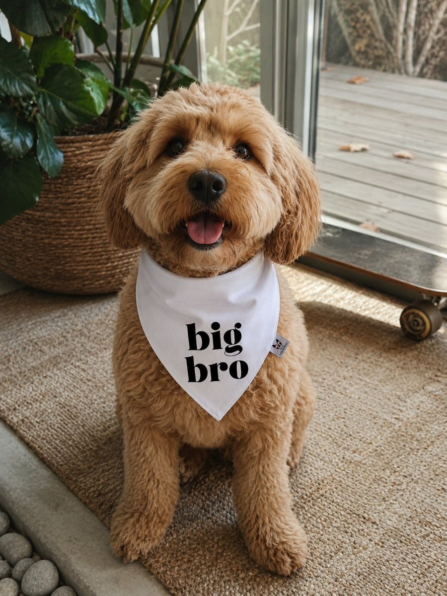 Big Bro Dog Bandana – Family Announcement