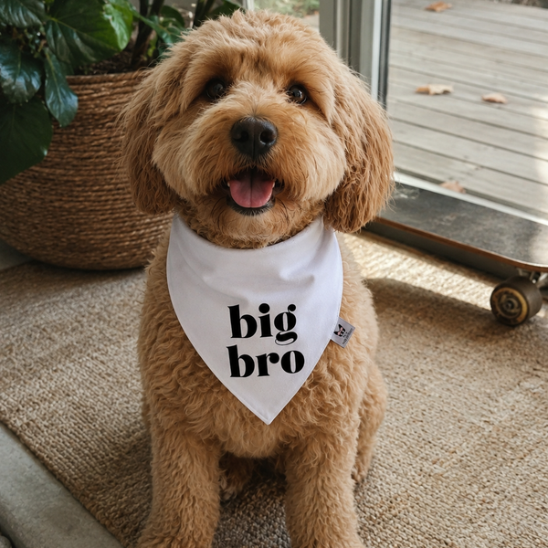 Big Bro Dog Bandana – Family Announcement