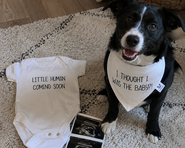 Matching Baby Onesie & Dog Bandana Set – Little Human Coming Soon