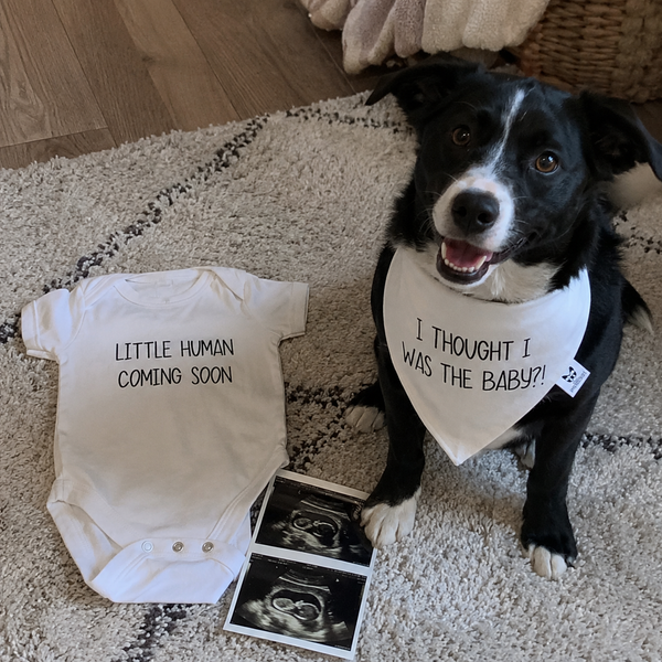 Matching Baby Onesie & Dog Bandana Set – Little Human Coming Soon