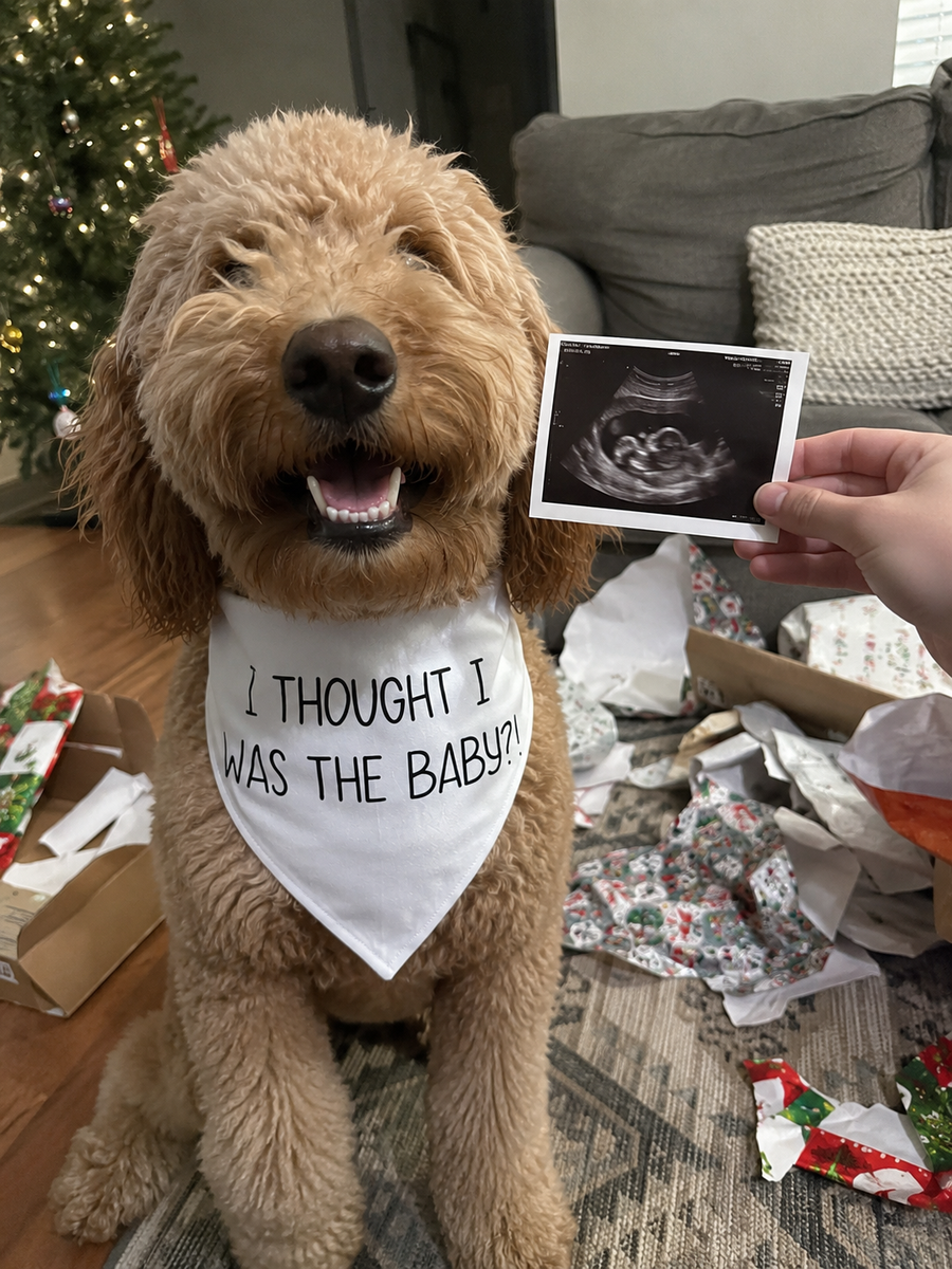 I thought I was the baby Bandana – Family Baby Reveal