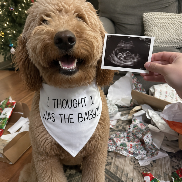 I thought I was the baby Bandana – Family Baby Reveal