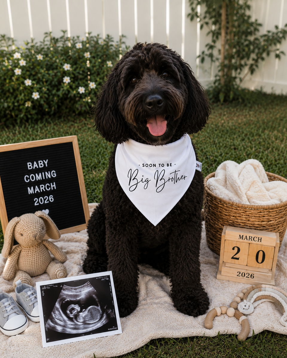 Soon To Be Big Brother Dog Bandana – Family Baby Reveal