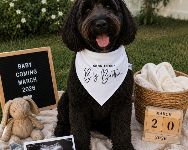 Soon To Be Big Brother Dog Bandana – Family Baby Reveal