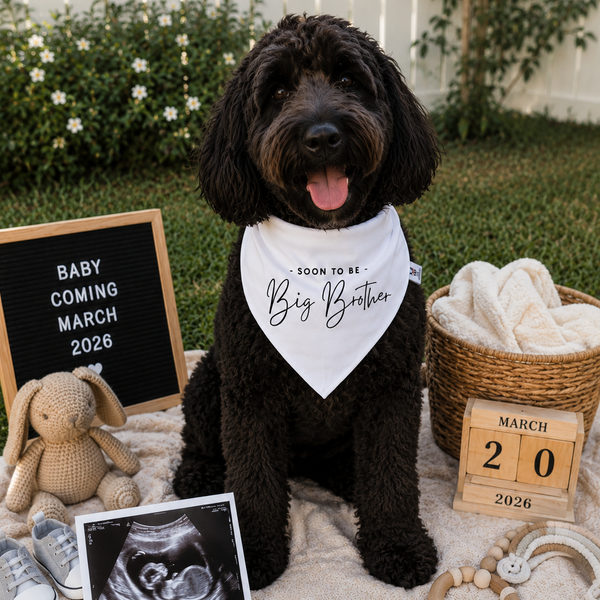 Soon To Be Big Brother Dog Bandana – Family Baby Reveal