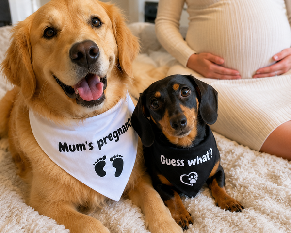 Matching Baby Announcement Dog Bandana Set – 2 Dogs