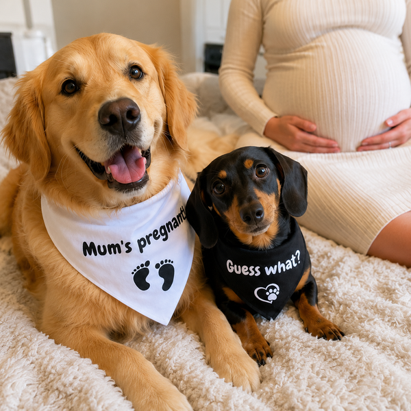 Matching Baby Announcement Dog Bandana Set – 2 Dogs