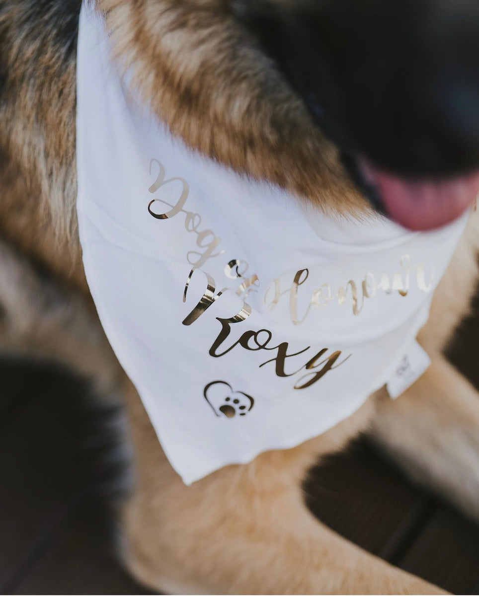 Personalised Wedding Dog Bandana - Dog of Honour - Customisable Name - White and Gold